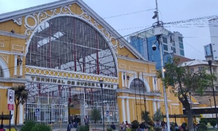 Vacaciones de invierno: recuerdan requisitos para tramitar el permiso de viaje de menores
