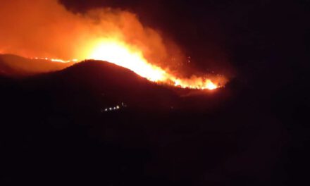 Incendios forestales afectan al menos 3.000 hectáreas en Tarija