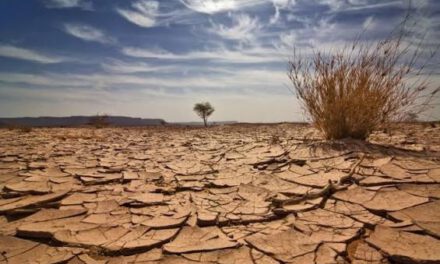 La OMM alerta que El Niño se fortalecerá y aumentará el riesgo de fenómenos climáticos extremos