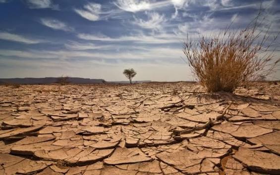 La OMM alerta que El Niño se fortalecerá y aumentará el riesgo de fenómenos climáticos extremos