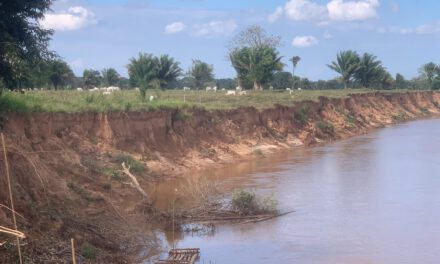 Senador José Roca hace un llamado “urgente” ante inminente colapso de la carretera San Borja – Yucumo que podría comerse el río Maniqui