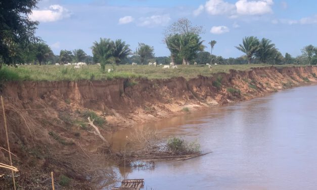 Senador José Roca hace un llamado “urgente” ante inminente colapso de la carretera San Borja – Yucumo que podría comerse el río Maniqui