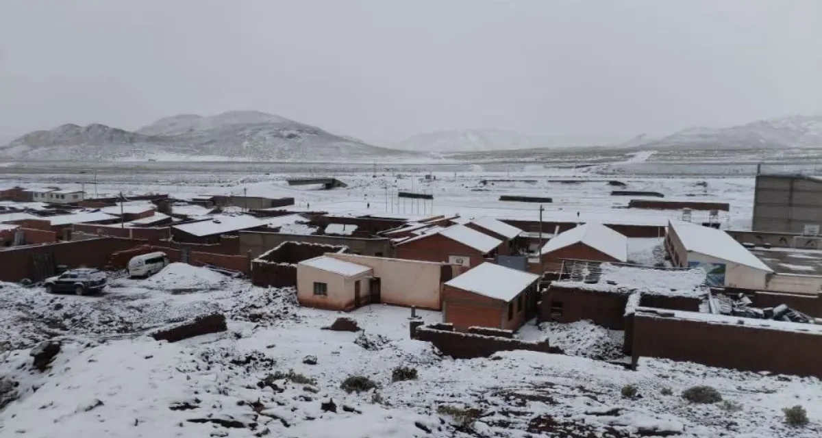 Descenso de temperaturas en San Pablo Lípez afecta a más de 740 familias y 25.000 camélidos