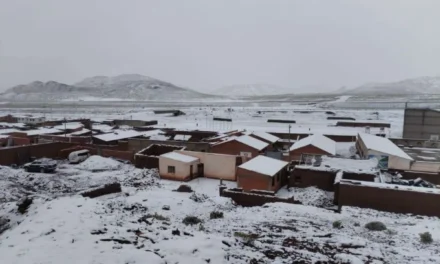 Descenso de temperaturas en San Pablo Lípez afecta a más de 740 familias y 25.000 camélidos