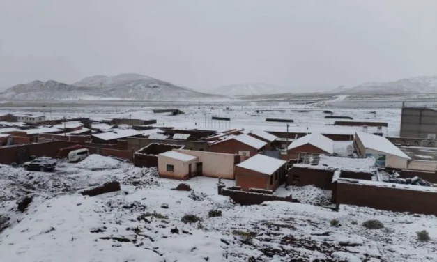 Descenso de temperaturas en San Pablo Lípez afecta a más de 740 familias y 25.000 camélidos