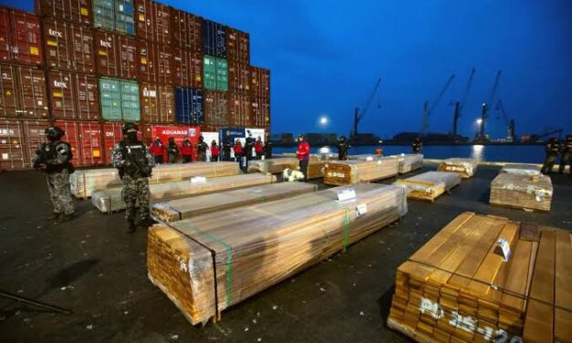 Gobierno dice que pruebas descartan droga en la madera y anuncia acciones legales