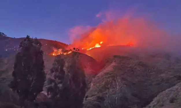 Incendio en Totora se reactiva y ya supera las 70 hectáreas afectadas