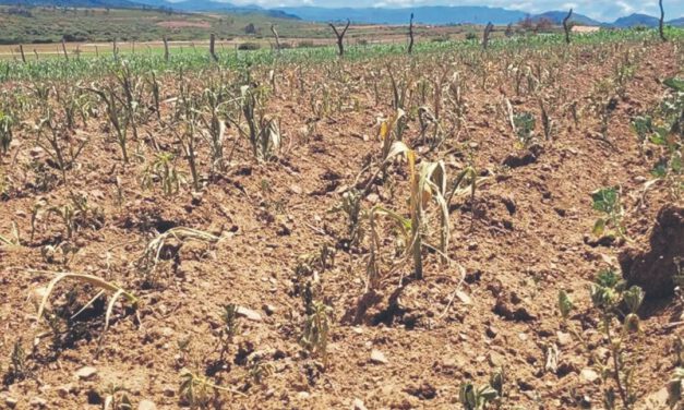 La sequía golpea a seis departamentos y pone a 26 municipios en emergencia