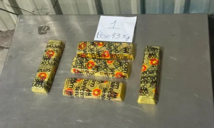 Nadie reclama los 189 kilos de oro incautados en Viru Viru