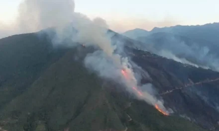 Incendio forestal moviliza a comunarios de Yanacachi
