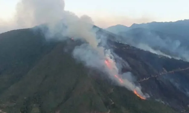 Incendio forestal moviliza a comunarios de Yanacachi