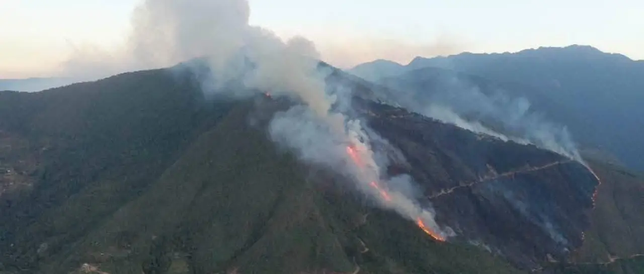 Incendio forestal moviliza a comunarios de Yanacachi