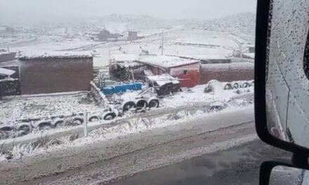 Nevada y lluvias golpean a municipios de Cochabamba y dejan pérdidas en el ganado