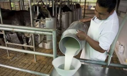 Productores de leche advierten aumento de precios si el diésel llega a Bs 18