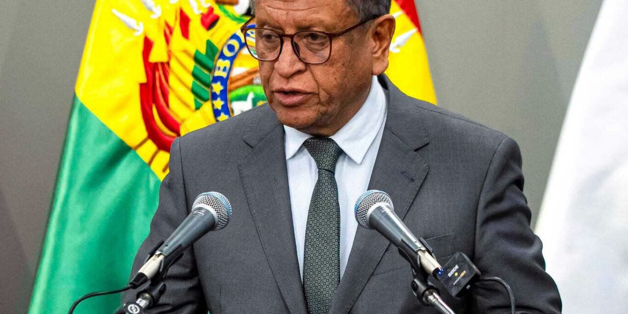 Gobierno asegura que desarticulará a los cárteles internacionales instalados en Bolivia