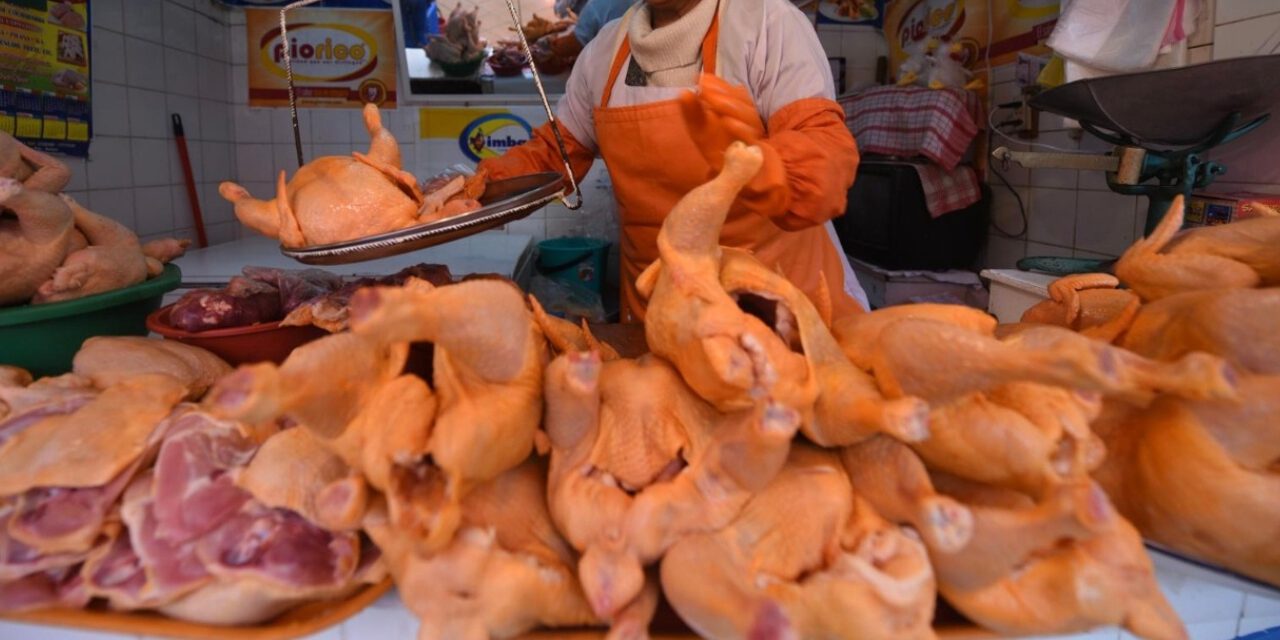El precio del pollo se dispara y el kilo ya se vende entre Bs 27 y Bs 31 en el eje central