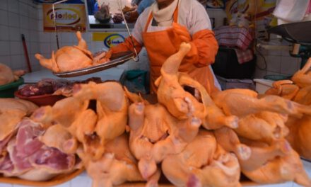 El precio del pollo se dispara y el kilo ya se vende entre Bs 27 y Bs 31 en el eje central