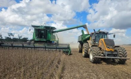 Anapo: El DS 5676 castiga al pequeño productor, motiva más al desvío de diésel y subirá el precio de los alimentos