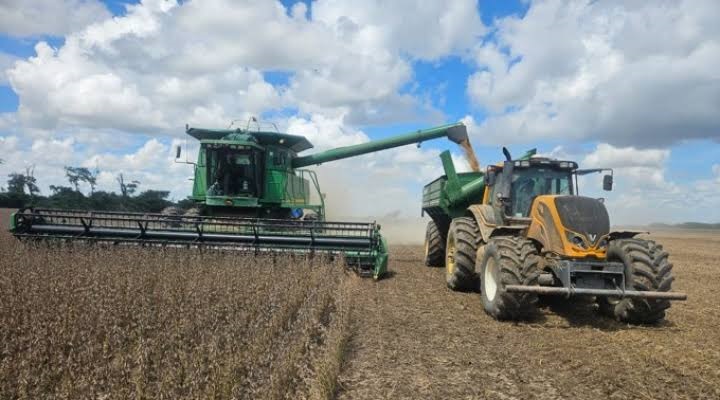 Anapo: El DS 5676 castiga al pequeño productor, motiva más al desvío de diésel y subirá el precio de los alimentos