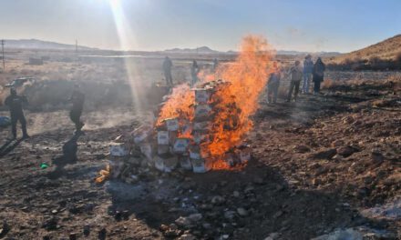 Destruyen e incineran más de una tonelada de droga líquida en Oruro