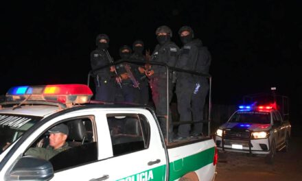Construirán dos unidades de élite en Santa Cruz y Beni para combatir el crimen organizado