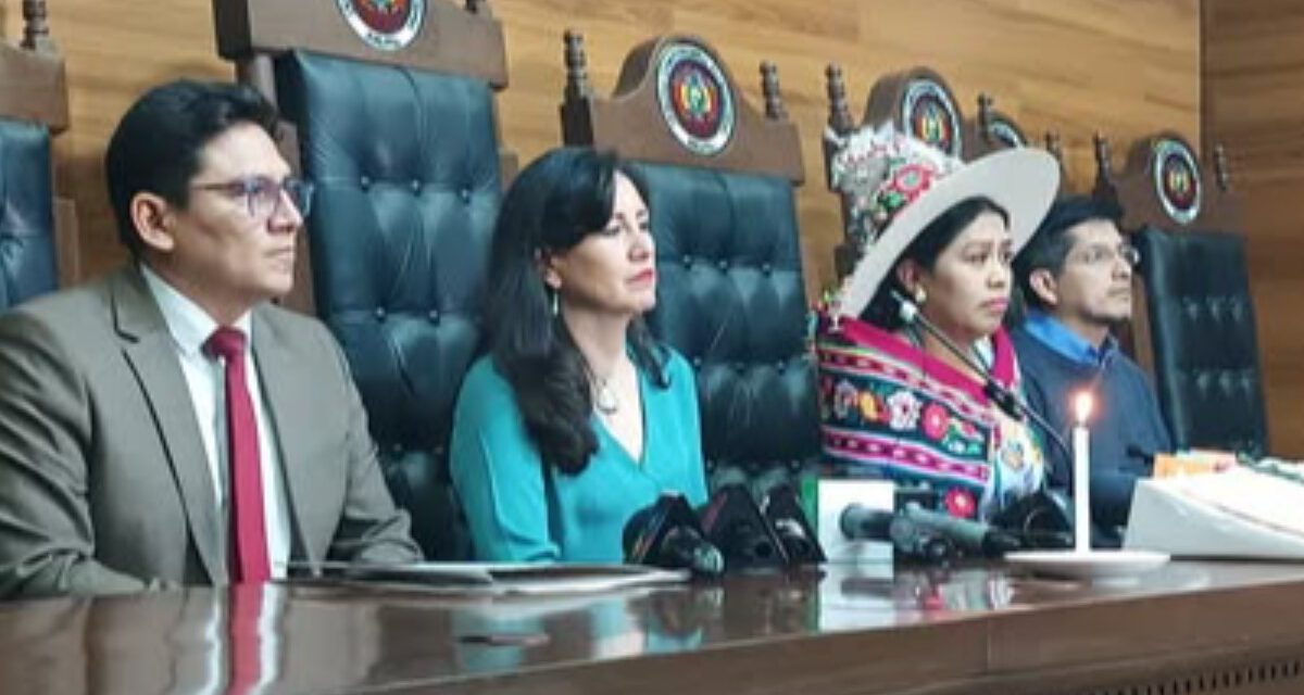 Proyecto de ley plantea reformar la Constitución para acortar el mandato de los nuevos magistrados