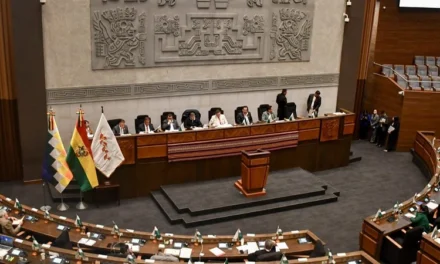 La ALP aprueba la ampliación del estado de excepción por 90 días