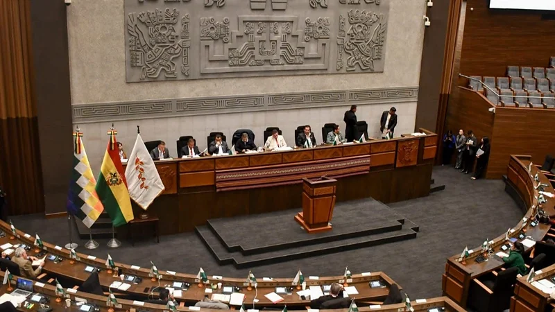 La ALP aprueba la ampliación del estado de excepción por 90 días