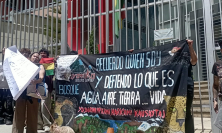 Ambientalistas realizaron enérgica protesta en puertas de la AJAM