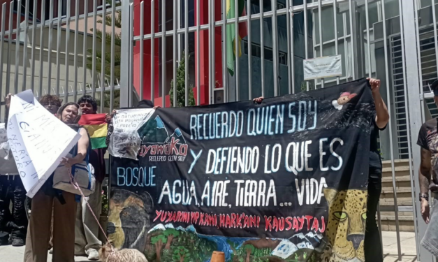 Ambientalistas realizaron enérgica protesta en puertas de la AJAM
