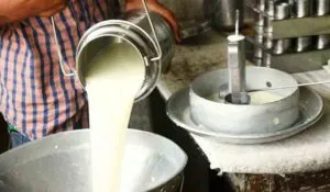 Lecheros de Cochabamba anticipan aumento de hasta 40% en el precio de la leche desde octubre