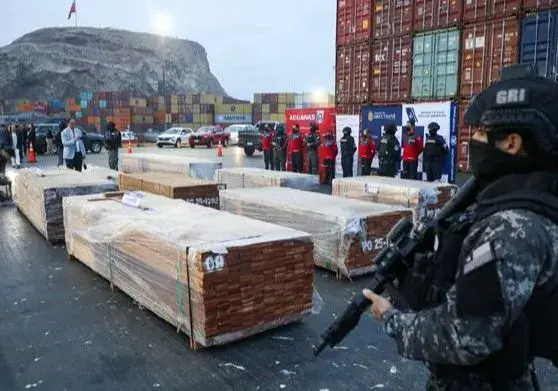 Narcomaderas: conoce la conclusión y sugerencia de los expertos JK y SO