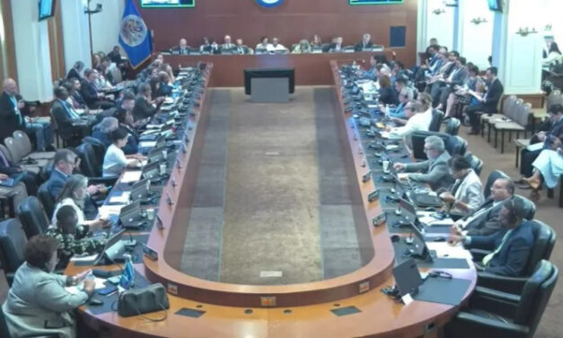 Informe de OEA sobre Bolivia llama a consensuar reformas y advierte que reivindicaciones no justifican bloqueos