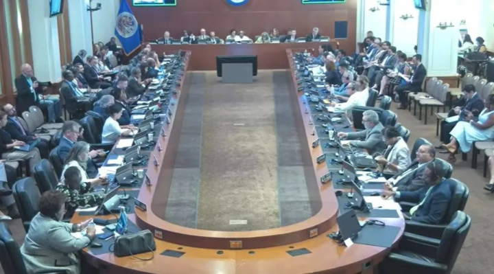 Informe de OEA sobre Bolivia llama a consensuar reformas y advierte que reivindicaciones no justifican bloqueos