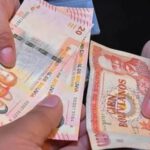 Gobierno prevé financiar el Bono PEPE II con recursos del TGN y un crédito del BID