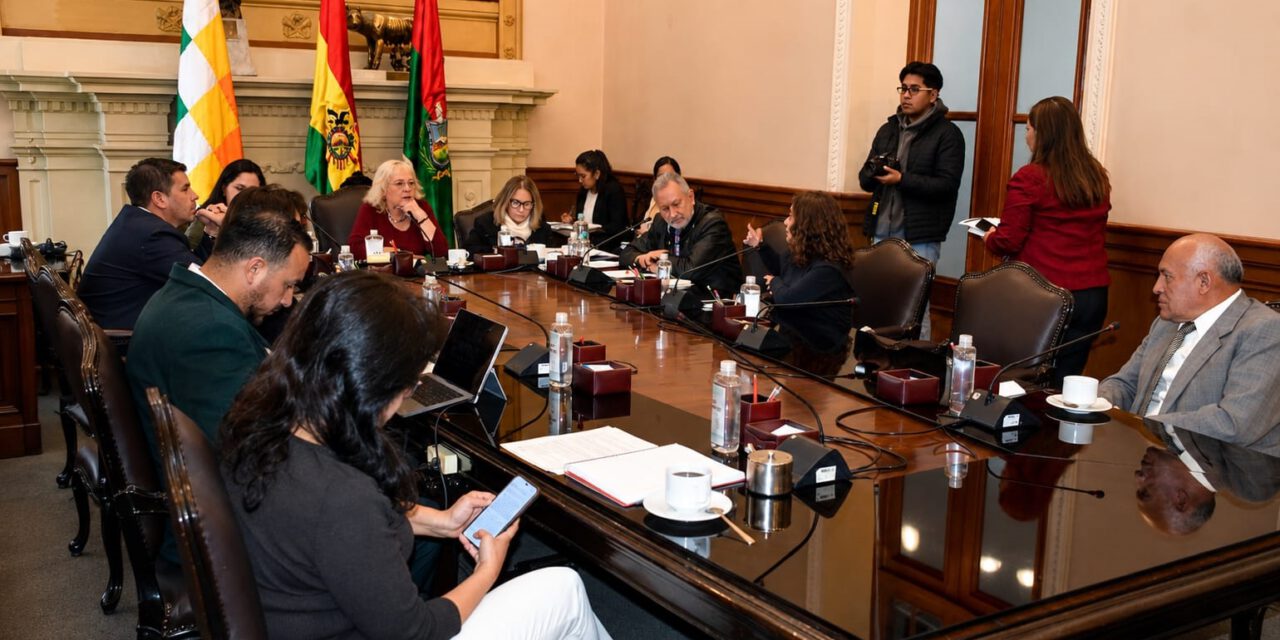 Yaksic exige remisión oficial del POA 2027 y denuncia amenaza de aprobación por “silencio administrativo”