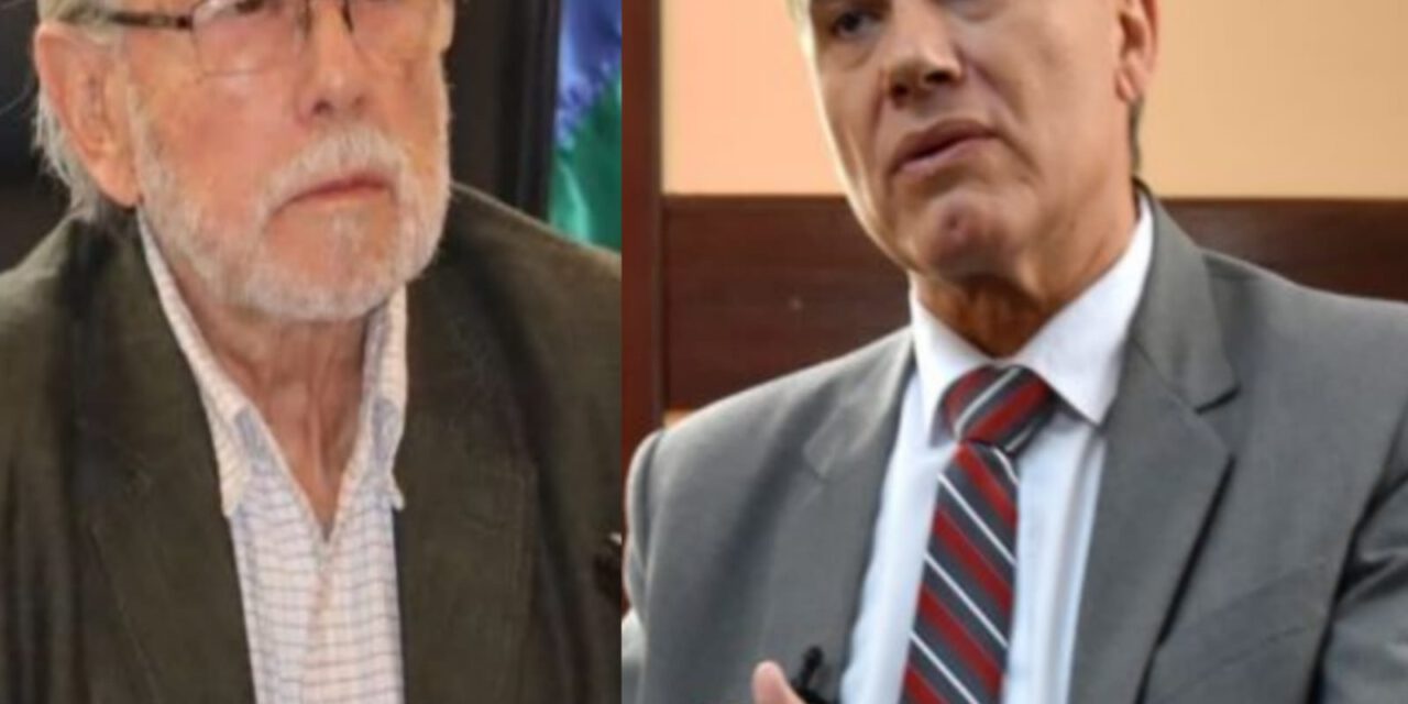 Reforma constitucional o estado de excepción: dos políticos abren el debate