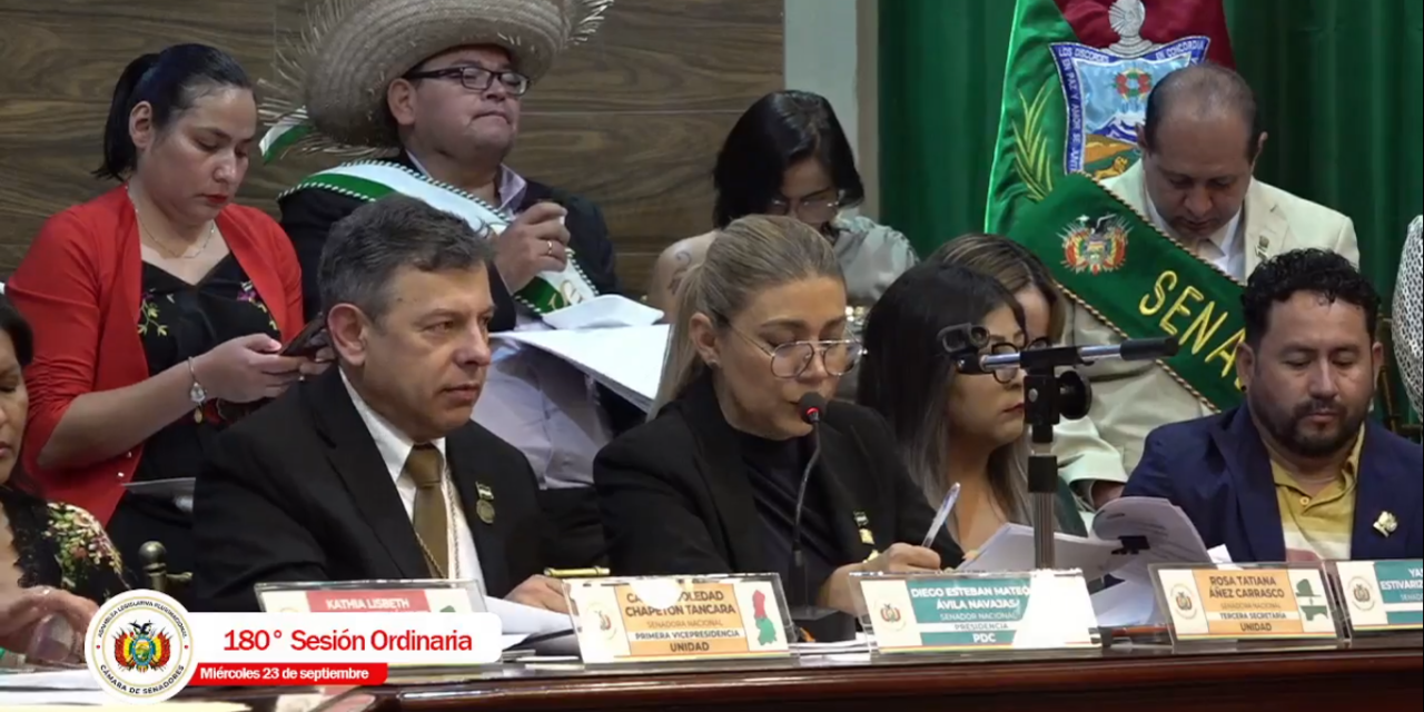 Senado sanciona ley que libera a las gobernaciones del pago de prediarios y bonos de vacunación